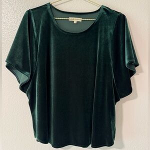 Madewell Green Velvet Butterfly Top XL